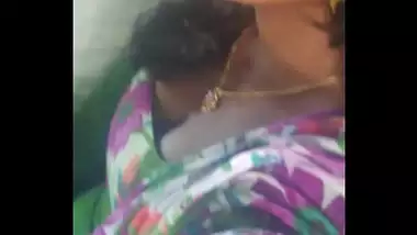 Bengal aunty in train