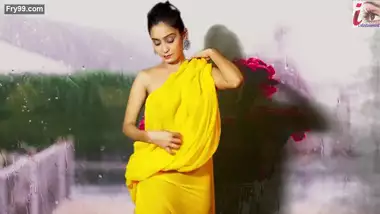 Sexy Yellow Saree Fashion