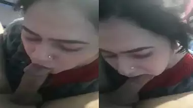 Beautiful Pakistani Sex Girl Viral Sucking Dick porn video